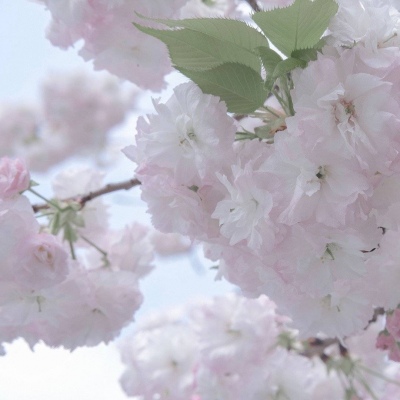 娄底FurryQQ群介绍